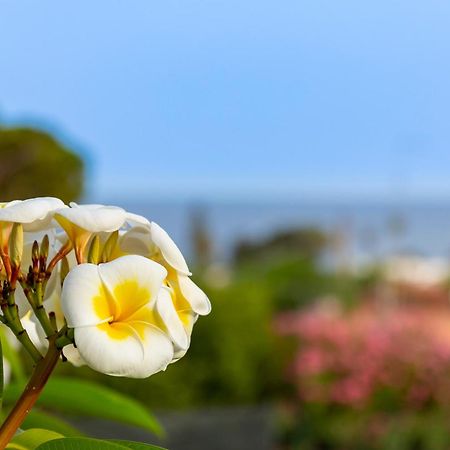 Nice To Stay Fontane Bianche Ngoại thất bức ảnh