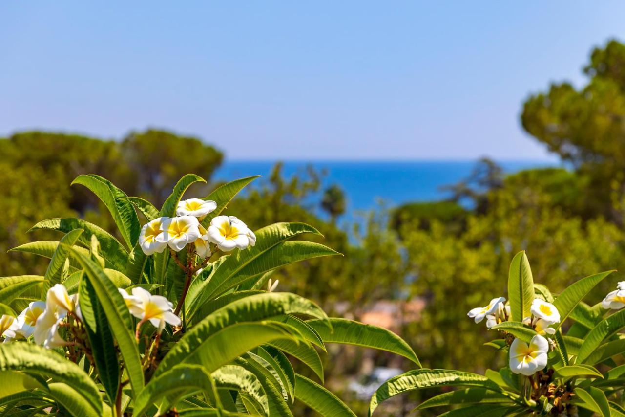 Nice To Stay Fontane Bianche Ngoại thất bức ảnh