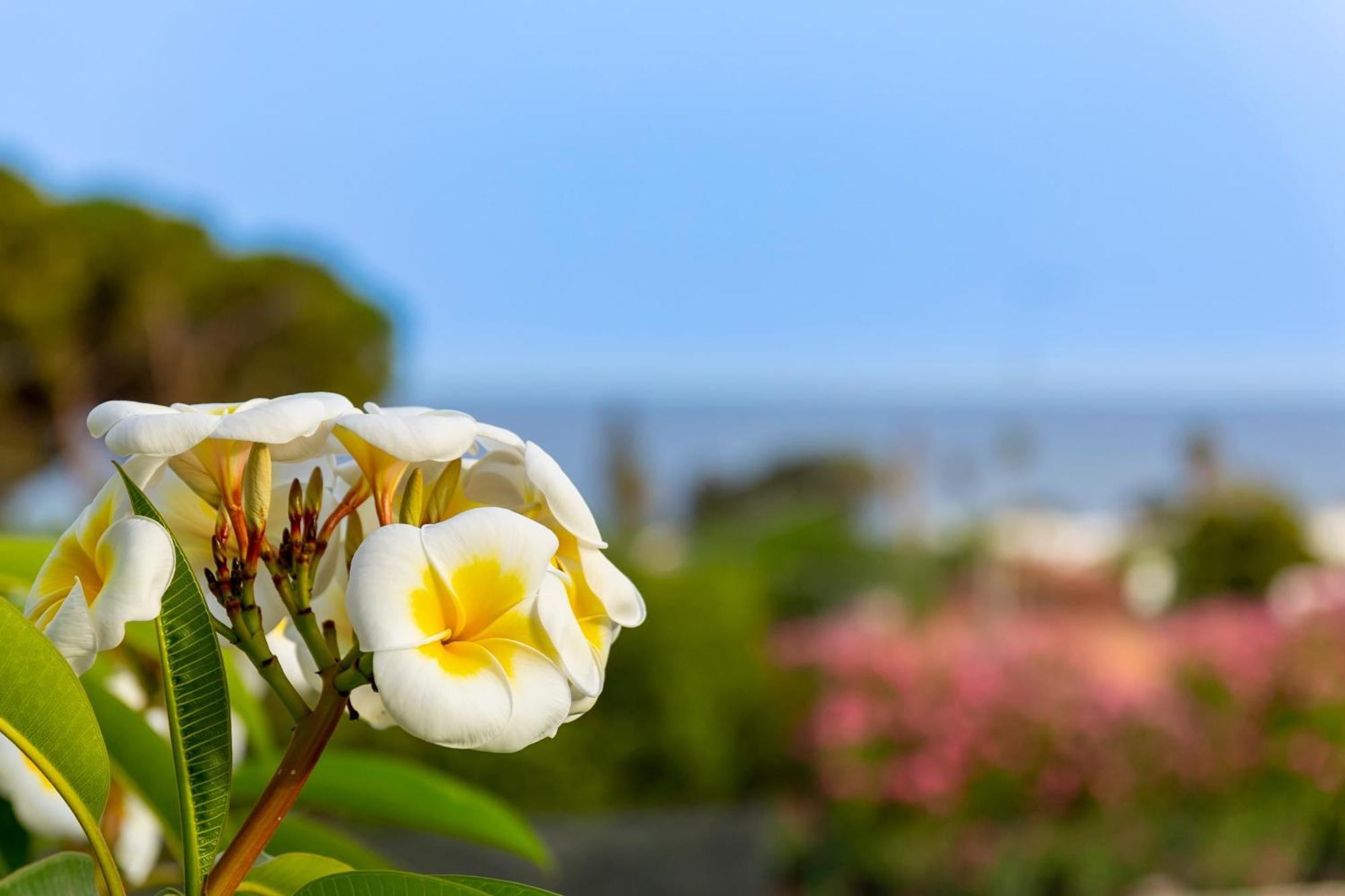 Nice To Stay Fontane Bianche Ngoại thất bức ảnh